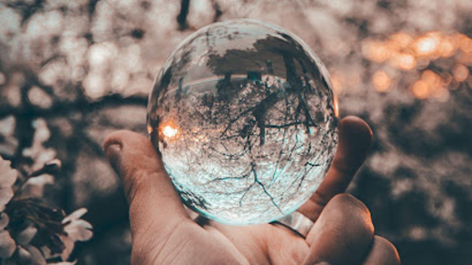 Person holding round glass ball