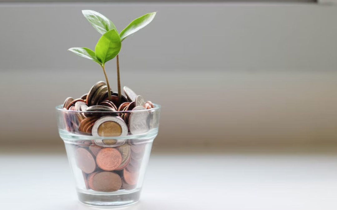 A glass planter full of coins with a budding plant