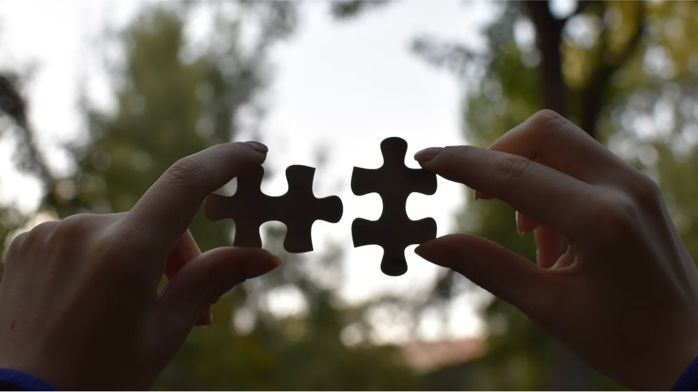 Hands holding 2 pieces of a puzzle, trees are in the background