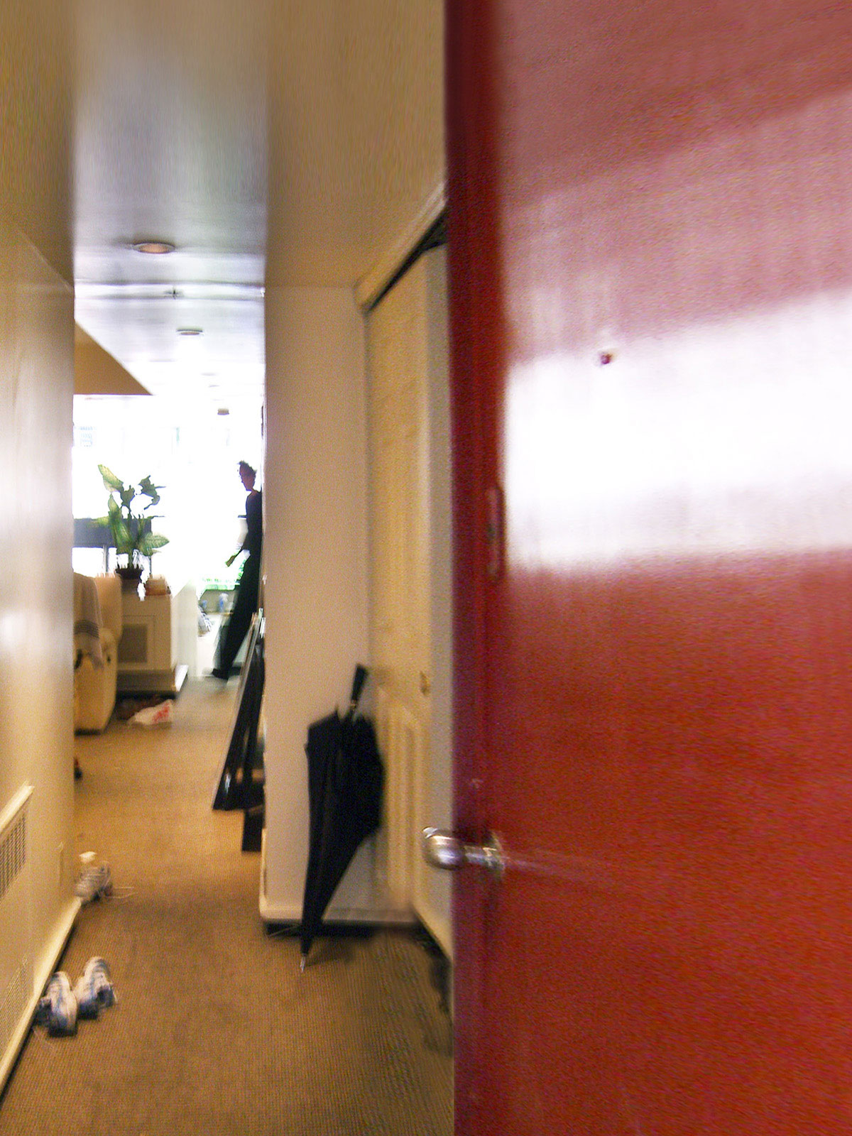 A red Entry Door on the right opens to a 3’ wide carpeted corridor with a wall on one side and sliding closet doors on the other.