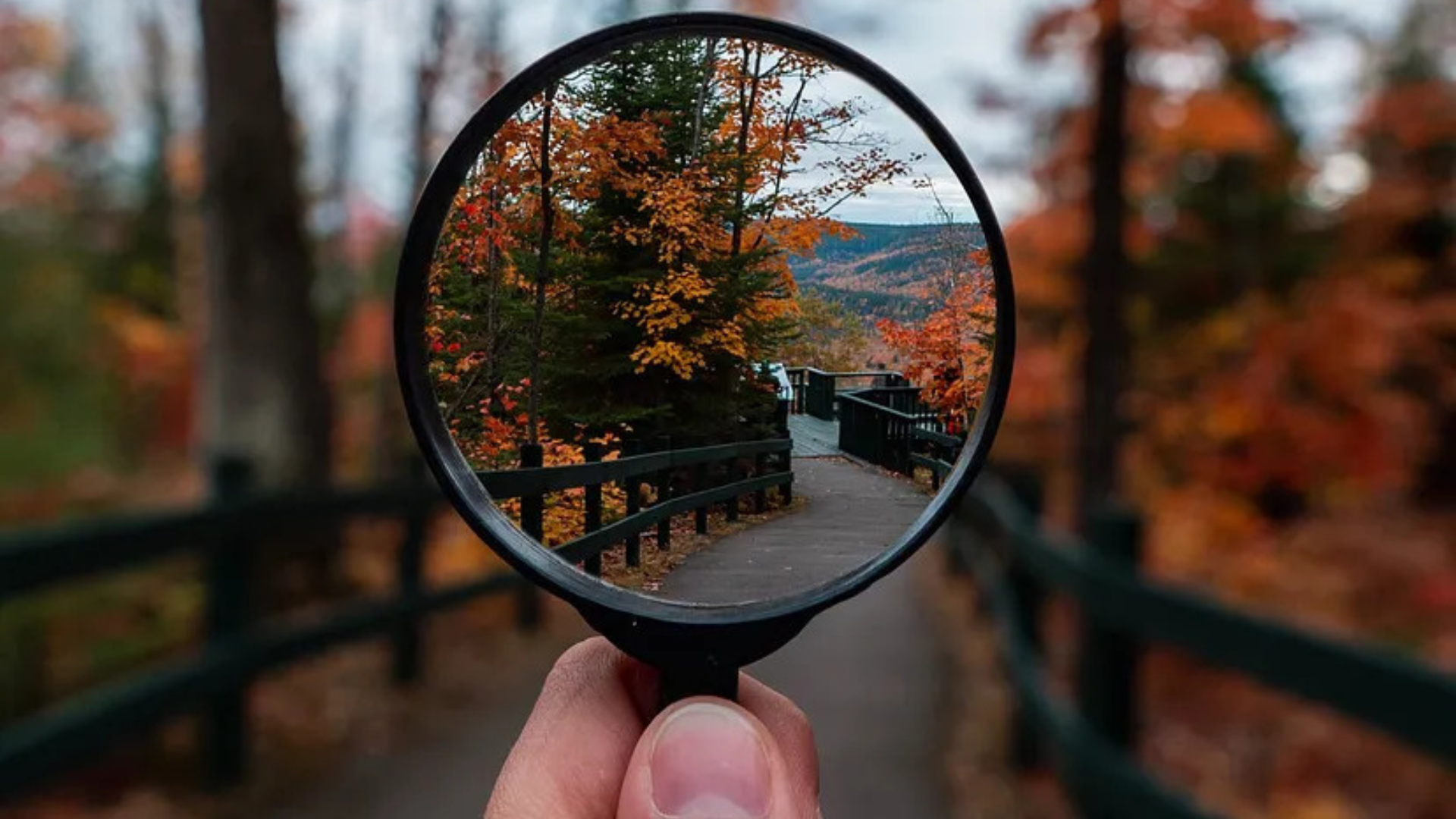 Magnifying glass